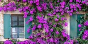 Φωτογραφία: Shutterstock
