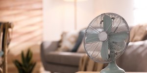 Φωτογραφία: Shutterstock