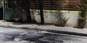 Επίθεση με μολότοφ στο σπίτι της προέδρου του Αρείου Πάγου