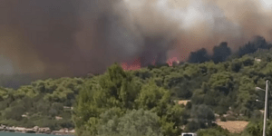 Φωτιά στη Νέα Αρτάκη