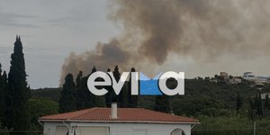 από τη φωτιά στον Αλμυροπόταμο Ευβοίας