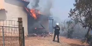 Στη μάχη με τις φλόγες οι άνδρες της ΕΛ.ΑΣ.