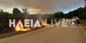 Φωτιά στην Ηλεία