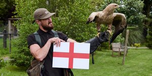 Αετός προβλέπει τον νικητή μεταξύ Αγγλίας και Σερβίας 