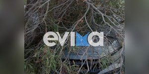 Εύβοια: Δέντρο καταπλάκωσε σταθμευμένο αυτοκίνητο στην Ερέτρια