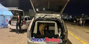 Ανδρες της ΕΛ.ΑΣ. με ειδικά εκπαιδευμένους σκύλους στο χώρο του φεστιβάλ Europride στη Θεσσαλονίκη