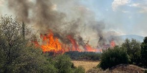 Φωτιά στην Αργολίδα