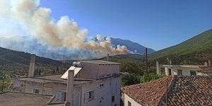 Φωτιά στο Δίστομο Βοιωτίας