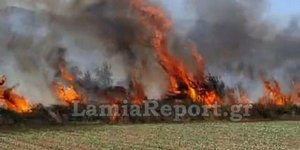 Φωτιά στη Λυγαριά Φθιώτιδας