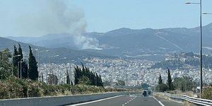Φωτιά στη Λαμία