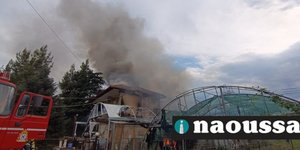 Φωτογραφία από τη μεγάλη φωτιάμ στη Νάουσα