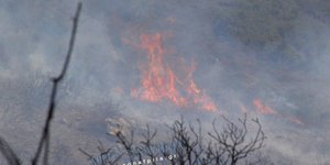 Φωτιά στο Ανύφι Ναυπλίου