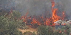 Φωτιά σε δάσος