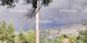 Φωτιά στη Σταμάτα Αττικής