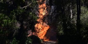 Συνελήφθη αλλοδαπός για εμπρησμό στη Ραφήνα