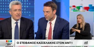 Ο Στέφανος Κασσελάκης