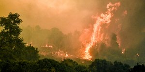 Πυροσβεστική: Καλύτερη η εικόνα στα περισσότερα μέτωπα -Δύσκολη νύχτα στην Ηλεία