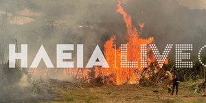 Ηλεία: Αναφορές για καμμένα σπίτια στο Αλποχώρι σύμφωνα με τον αντιπεριφερειάρχη Νίκο Κοροβέση