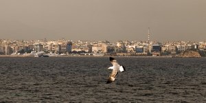 Γλάρος στον Πειραιά