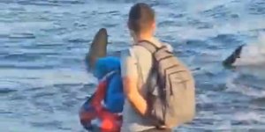 Τρόμος με καρχαρία στα Κανάρια Νησιά