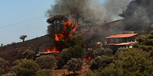 Σπίτια στη Κερατέα παραδόθηκαν στις φλόγες 