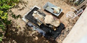Το στρώμα που βρέθηκε απανθρακωμένος ο 82χρονος στα Άνω Λιόσια