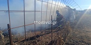 Φωτιά στον Λαγκαδά Θεσσαλονίκης: Καλύτερη η εικόνα του μετώπου -Κάηκε μαντρί με ζώα