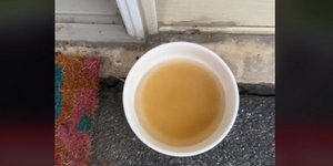 Το σπιτικό μίγμα που θα κρατήσει μακριά τις μύγες από το σπίτι σας