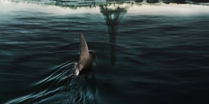 Η νέα ταινία του Netflix, «Under Paris» (Στα Βάθη του Σηκουάνα)