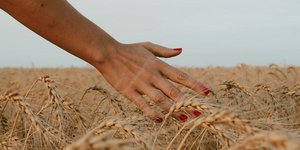 Φωτογραφία Unsplash