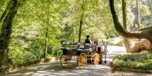 Το πάρκο Μονσεράτ στην Πορτογαλία