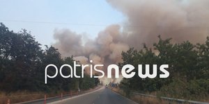 Φωτιά στην Ηλεία