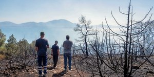 Πυροσβέστες στα Ψαχνά Εύβοιας