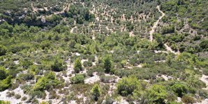 Σάμος: Νεκρός εντοπίστηκε ο 74χρονος Ολλανδός τουρίστας