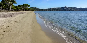 Παραλία του Σχοινιά