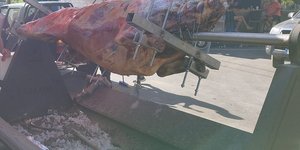 Σούβλισαν ταύρο στα Χανιά 