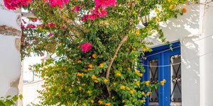 H Τelegraph προτείνει την Σέριφο και τη Νάξο για διακοπές χωρίς αυτοκίνητο -Οι άλλοι 10 προορισμοί της Ευρώπης