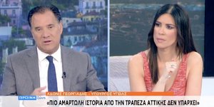 Ο Αδωνις Γεωργιάδης