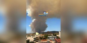 Φωτιά στο Αφράτι Ευβοίας
