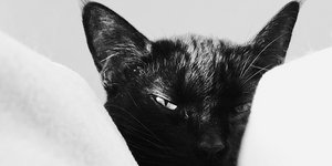 Φωτογραφία: Unsplash