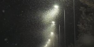 Λάρισα: Απόκοσμο σκηνικό στην περιοχή Μάνδρα -Τεράστιο σμήνος από εφημόπτερα καλύπτει τα πάντα 