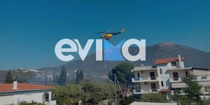 Φωτιά στην Παναγιά Ευβοίας δίπλα σε παραλία
