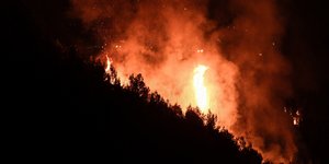 φωτιά σε δάσος