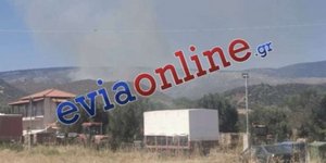 Φωτιά στην Εύβοια