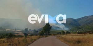 Φωτιά στην Εύβοια