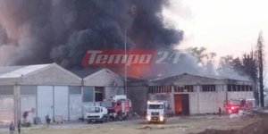 Γομοστό Αχαΐας: Ολονύχτια μάχη στη μεγάλη φωτιά 