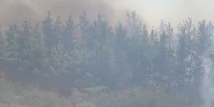 Φωτιά στο Τελωνείο Ευζώνων, στο Κιλκίς