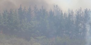 Φωτιά στο Τελωνείο Ευζώνων, στο Κιλκίς