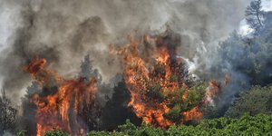 Καίει ανεξέλεγκτη η φωτιά στην Στιμάγκα Κορινθίας 