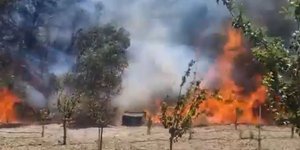 Φωτιά στην Κω